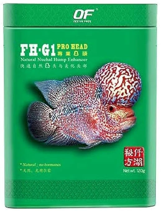 Fish Foods